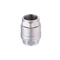 304 stainless steel vertical check valve H12 one way check valve water pump spring vacuum water pipe soft seal 1/4 3/8 1/2 1 2