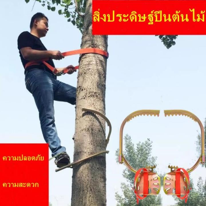 gregory-อุปกรณ์ปีนต้นไม้-tree-climbing-ที่ปีนต้นไม้-ปีนต้นไม้-รุ่น-อุปกรณ์ปีนต้นไม้-อุปกรณ์ปีนเสาไม้-รองเท้าปีนต้นไม้-เข็มขัดเซฟตี้-เข็มขัด-ปีนเสา-เซฟตี้เบล-safety-beltเข็มขัดเซฟตี้-เข็มขัด-ปีนเสา-เซฟ