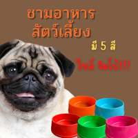 ถ้วยอาหารจัมโบ้ ถ้วยอาหารสัตว์เลี้ยงจัมโบ้ ถ้วยหมาจัมโบ้ 9นิ้ว