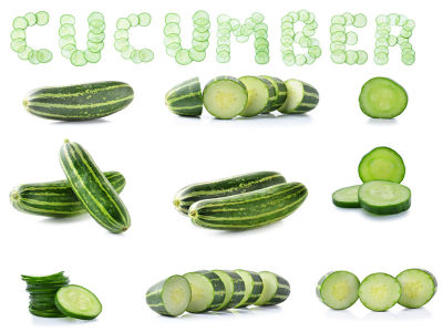 แตงกวา Cucumber Seeds แตงกวาขาว แตงร้าน แตงร้านฮอลแลนด์ แตงท่อน แตง