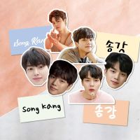 【SUSU】 Song Kang หีบห่อสติกเกอร์