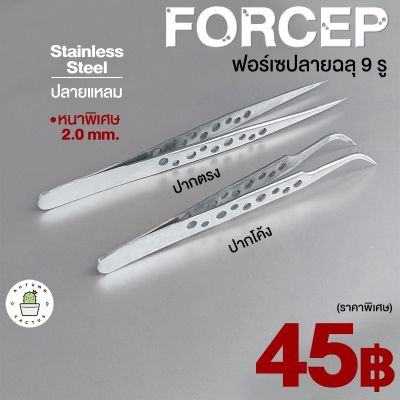 Forcep ฟอร์เซป ลายฉลุ เจาะรู ฟอเซป ปากตรง ปากโค้ง ปากคีบ สแตนเลส หนา 2.0 ปลายแหลม