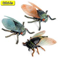 Minimulão Animal Insoto Modelo PVC Cicada Brinquedo Figura De Aççentos Biologia Edicão Cogão Crianas Pré-Escolar Brinquedos Presnes