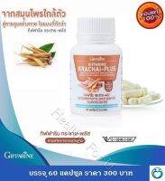 ส่งฟรี !!!  Krachai-Plus กระชาย-พลัส กระชายขาวสกัดในรูปแบบแคปซูล ทานง่าย และเข้มข้นมากกว่าการทานแบบสด บรรจุ 60 แคปซูล 300 บาท