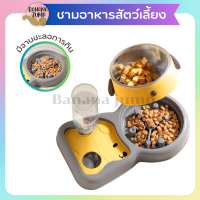 BJ Pet - ชามอาหารสัตว์เลี้ยง ชามน้ำอัตโนมัติ ชามสแตนเลส ชามอาหารหมา ชามอาหารแมว สำหรับสัตว์เลี้ยง