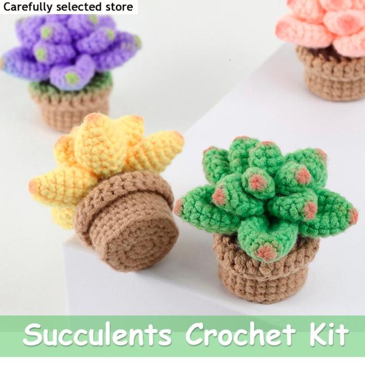 Crochet Potted Kit for Beginners Cute Crochet Succulent Kit DIY