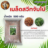 เมล็ดพันธุ์หญ้า รูซี่ / สวีทจัมโบ้ / กัมบ้า / กินนี่ม่วง ขนาดบรรจุ 500กรัม /1 กิโลกรัม สำหรับพืชอาหารสัตว์ ปลูกเลี่ยงสัตว์ เมล็ดเก็บใหม่