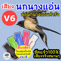 เสียงต่อนกนางแอ่นV6 (เสียงนอกดึงนก) เมม/แฟลชไดร์ฟเสียงเรียกนกแอ่นทำรัง มีเก็บเงินปลายทาง ชัดแจ๋วเข้าไว100%ไม่มีโฆษณาแทรก MP3เสียงเรียกนก