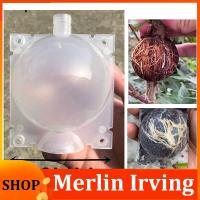 Merlin Irving Shop 8cm Garden Fruit Tree Plant Rooting Ball Root Growing Boxes Case Grafting Rooter Grow Box Breeding Garden Tools Supplies