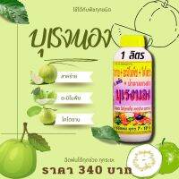 พร้อมส่ง? บุเรงนอง ขนาด 1 ลิตร อะมิโนพืช+สาหร่าย+ไคโตซาน+น้ำตาลทางด่วน อาหารพืช ใช้ฉีดพ่นทางใบ ฉีดพ่น ฝรั่ง