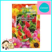 เมล็ดพันธุ์ดอกสร้อยไก่ กรีน การ์เด้นCELOSIA PLUMOSA SEED GREEN GARDEN **ของแท้100%**