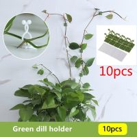 【Ready Stock】10pcs Household Plant Green Fixation Device Green Dill Holder Wall Climbing Artifact Green Basket Vine Climbing Wall Hanging Stereotyped Hook