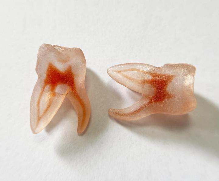 1pis4pis Upper Molar B Teeth Pulp Dental Files Root Practise Canal Simulation 3d Blocks Model