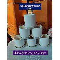 กระถางทรงกระบอกสีขาว&amp;ขาวธรรมชาติ4.4x4.5พร้อมจานรอง6ชุด