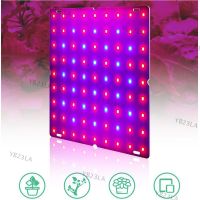 5 types LED Plant Grow Light Phyto Lamp Kit  Indoor Growing Tent Full Spectrum Hydroponics For Veg Flower YB23TH