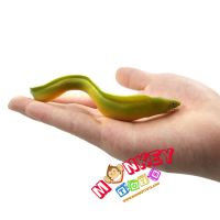 Monkey Toys - โมเดลสัตว์ Eel Moray ปลาไหล ขนาด 14.00 CM (จากหาดใหญ่)