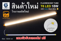 หลอดนีออน LED T8 สีวอร์มไวท์ เสียบปลั๊กได้เลย กันแดด กันฝน ไฟงานวัด ไฟพัด ไฟled หลอดไฟled ไฟงานแต่ง ไฟงานบวช ไฟประดับ หลอดไฟ นีออน หลอดนีออน หลอดT8 ไฟสี ตกแต่ง ไฟตกแต่ง