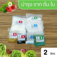 ปุ๋ย ABC Hydroponics Balance ไฮโดรโปนิกส์ บาลานซ์ ดูแลใบดอกผลรวม ชนิดแห้ง ชุดขนาด 2 ลิตร ( A 2ล. ,B 2ล. และ C 2ล.)