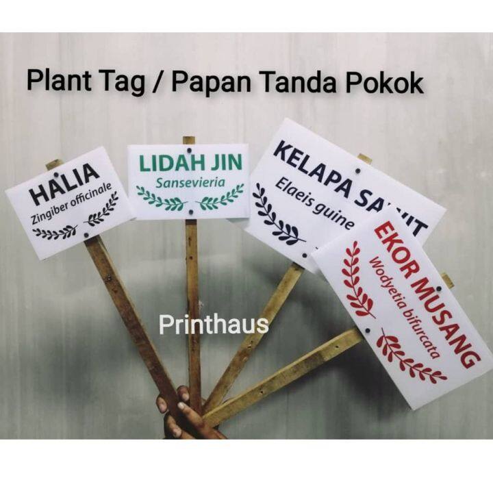 ☜Custom Name Plant Tag Signboard Pokok Label Pokok Nama Tumbuhan Marker ...