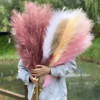 【cw】120cm Artificial Pampas Grass Dried Reed Flowers Bouquet Fake Plant For Home Room Decor Wedding Flowers Bunch Rabbit Tail Grass