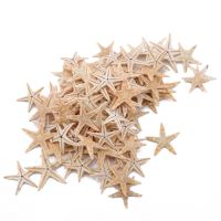 Chloeh Hornbye Shop Craft Accessories Starfish Home Decoration Shell Micro Landscape 100 Pcs/bag