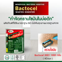 แบคโตเซล 3001 1000 กรัม 1 กระป๋อง ดับกลิ่นเหม็นไขมัน บ่อดักไขมัน สลายไขมัน ท่ออุดตัน ไขมันหนา ไขมันแข็ง ย่อยสลายไขมัน BACTOCEL ซิงค์ล้างจานตัน