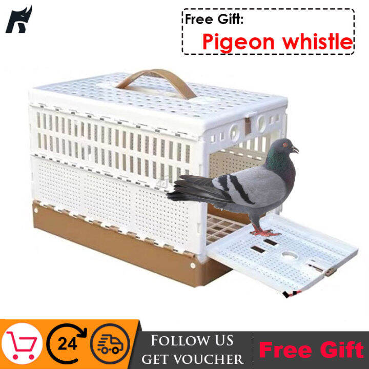 Racing Training Box gear homing pigeon folding cage pigeon training