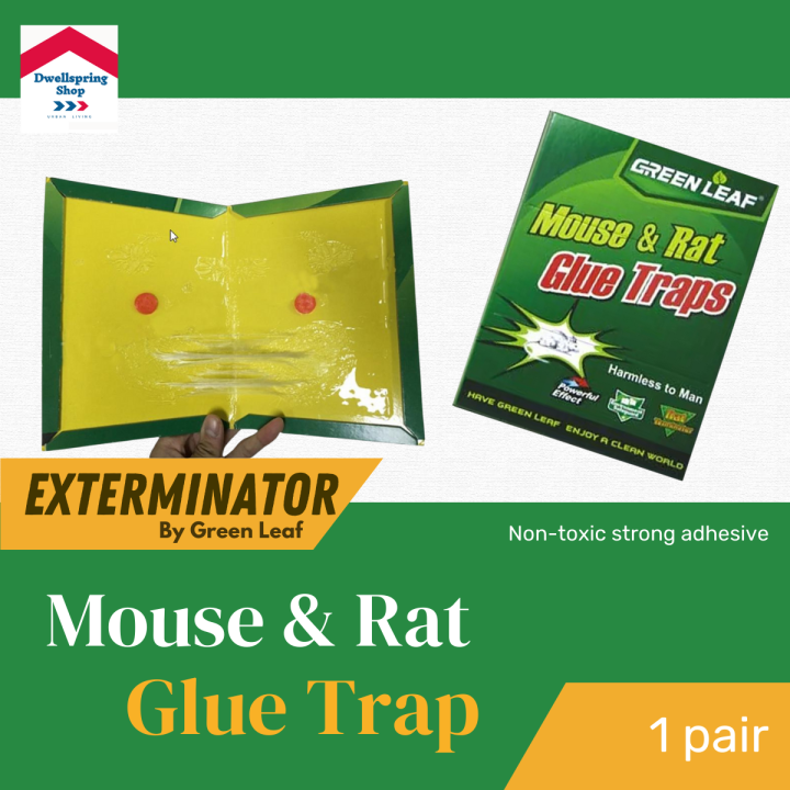 EFFECTIVE MOUSE TRAP For Big And Small Rat Catcher Sticky Super Glue ...