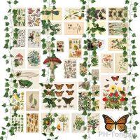 【hot】❄  45Pcs Wall Collage  Fake Vines Illustration Poster Card Dorm Bedroom Room