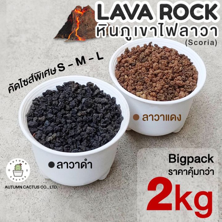 lava-rock-หินภูเขาไฟลาวา-หินภูเขาไฟ-ลาวาดำ-ลาวาแดง-มวลหนักใช้โรยหน้า-ผสมดิน-บรรจุ-2kg