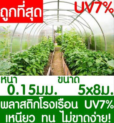 พลาสติกคลุมโรงเรือน สีใส ขนาด 5x8เมตร หนา 200ไมครอน UV7% โรงเรือน greenhouse โรงเรือนเพาะชำ พลาสติกโรงเรือน โรงเรือนปลูกผัก ปลูกผัก ออแกนิค