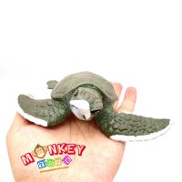 Monkey Toys - โมเดลสัตว์ Turtle เต่า ทะเล เขียว ขนาด 12.00 CM (จากหาดใหญ่)