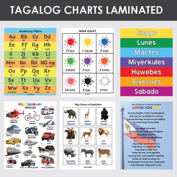 Filipino/Tagalog Charts (Alphabet, Numbers, Colors, Shapes) Laminated