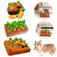 №♀ Carrot Interactive Dog Toy