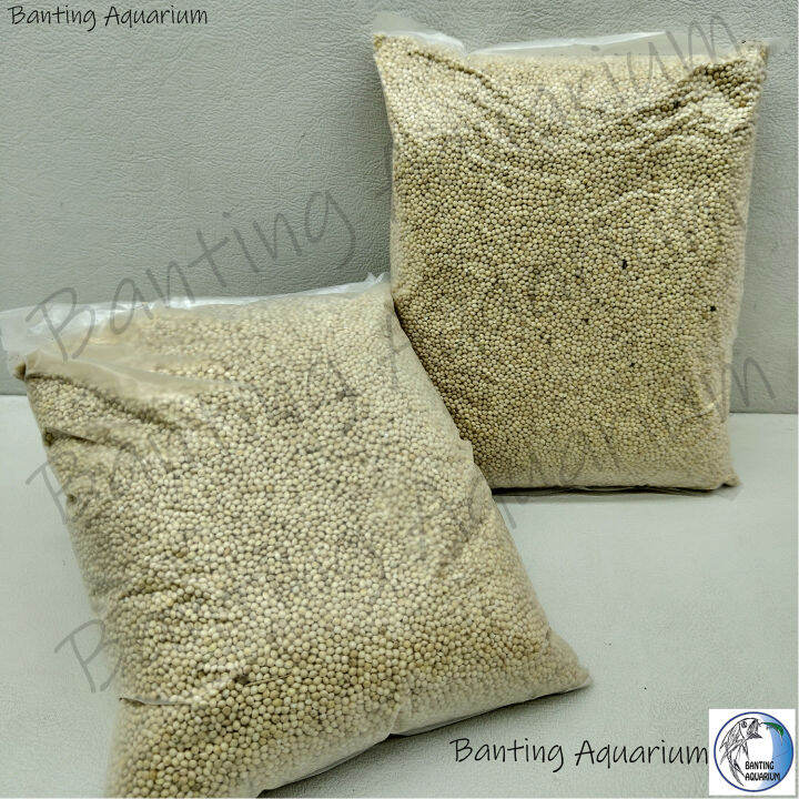 KAMBU PUTIH/SAMBAU PUTIH MAKANNAN BURUNG WHITE MILLET BIRD FEED MERBOK