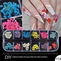 MAMA NAIL 12 Grid New Dried Flowers Glitter Flakes Mix Nail Decorations DIY Accessories Floral Leaf Sticker Jewelry Winter Beauty