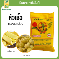 ดองผลไม้ ดองมะม่วง  ดองมะยม ดองฝรั่ง ดองมะยม ดองกระท้อน  ผงดอง หัวเชื้อดองมะม่วง PICKED FRUIT BOOSTER ุ600 กรัม คุ้มสุดๆ แถมผงหมักเนื้อ