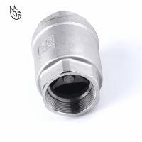 H12W-16P 304 Stainless Steel Non-returned Valve 1/2 3/4 1 1-1/4 1-1/2 BSP Female Check Valve