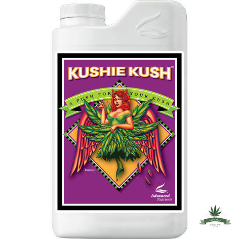 [สินค้าพร้อมจัดส่ง]⭐⭐Advanced nutrient-Kushie Kush ปุ๋ยเพิ่มขนาดดอกและผลผลิต เพิ่มน้ำมัน เพิ่มเรซิ่น ขนาด 1ลิตร (ขวดแท้)[สินค้าใหม่]จัดส่งฟรีมีบริการเก็บเงินปลายทาง⭐⭐