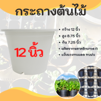 กะถางต้นไม้ กระถางต้นไม้พลาสติก กระทางต้นไม้ 12 นิ้ว สีขาว กระถางขาว