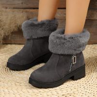 Lucyever 2023 New Warm Faux Fur Ankle Boots Women Faux Suede Thick Heels Short Boots Woman Winter Short Plush Padded Boots Mujer