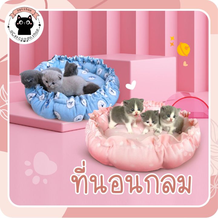 ที่นอนแมว-ที่นอนสุนัข-บ้านแมว-เบาะแมว-เบาะหมา-เบาะกลม