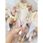 Gà Ri Nguyên Con không đầu Chưa Chế Biến giao tphcm
