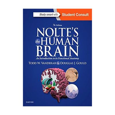 โนลท์เป็นกระดาษตกแต่งสีสมองมนุษย์