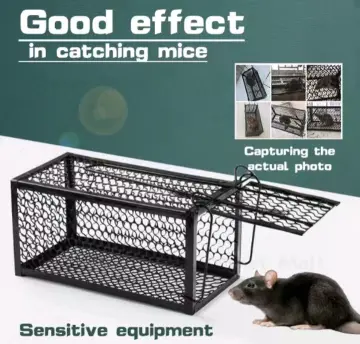 Large Animal Trap Humane Rodent Control Mouse Live Rat Cage - China Rat  Cage and Mouse Cage price