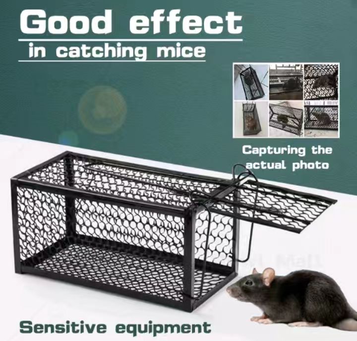 Rat Cage Mice Rodent Animal Control Catch Bait Hamster Mouse Trap