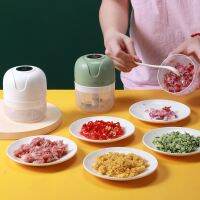 【CW】 Housheold Electric Garlic Masher USB Charging Meat Ginger Machine Fruit Vegetable Chop Gadgets