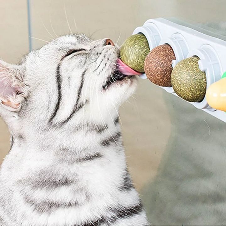 rem13-แคทนิปบอล-แมวเลีย-สมุนไพรบอลแมวเลีย-3ลูก-ขนมแมวเลีย-ลดความเครียด-ช่วยให้แมวผ่อนคลาย-คละสี