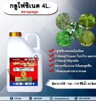 กลูโฟซิเนต ตราแมงมุม 4L. กลูโฟซิเนตแอมโมเนียม สารกำจัดวัชพืช กำจัดหญ้าใบแคบ ใบกว้าง กก หญ้าทุกชนิด