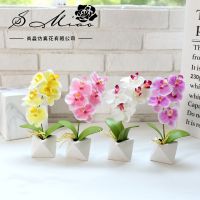 5Heads Butterfly Orchid Artificial Flower Bonsai Home Garden Decor Fake Flower Desktop Potted Mini Bonsai Christmas Party Supply